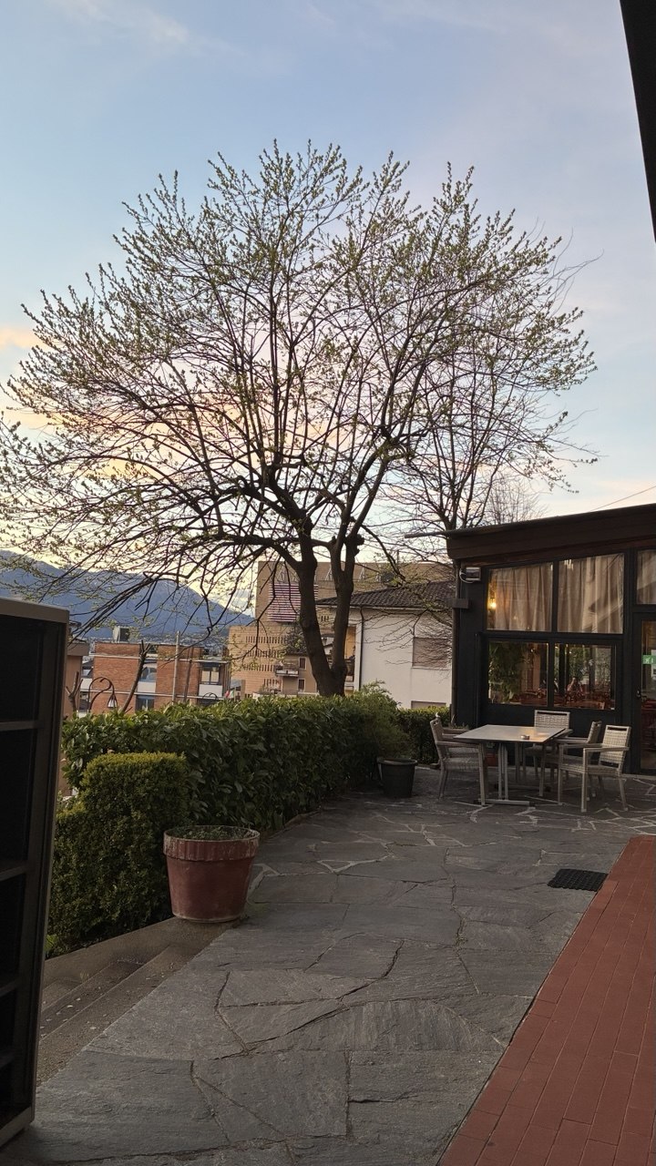 La terrazza con vista